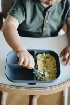 BÉABA Couverts, Vaisselle Et Bavoirs>Assiette Compartimentee Silicone Mineral