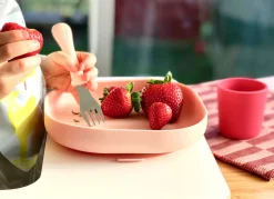 Assiette Silicone Ventouse Light Pink*BÉABA Clearance