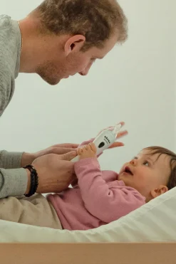 Mouche Bébé Electrique Nomade Aspidoo*BÉABA Online