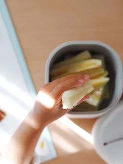 Snack Box Silicone Velvet Grey*BÉABA Outlet